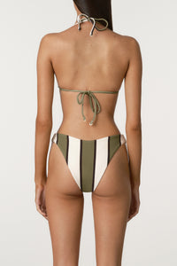 Olive Stripe Curve Brief