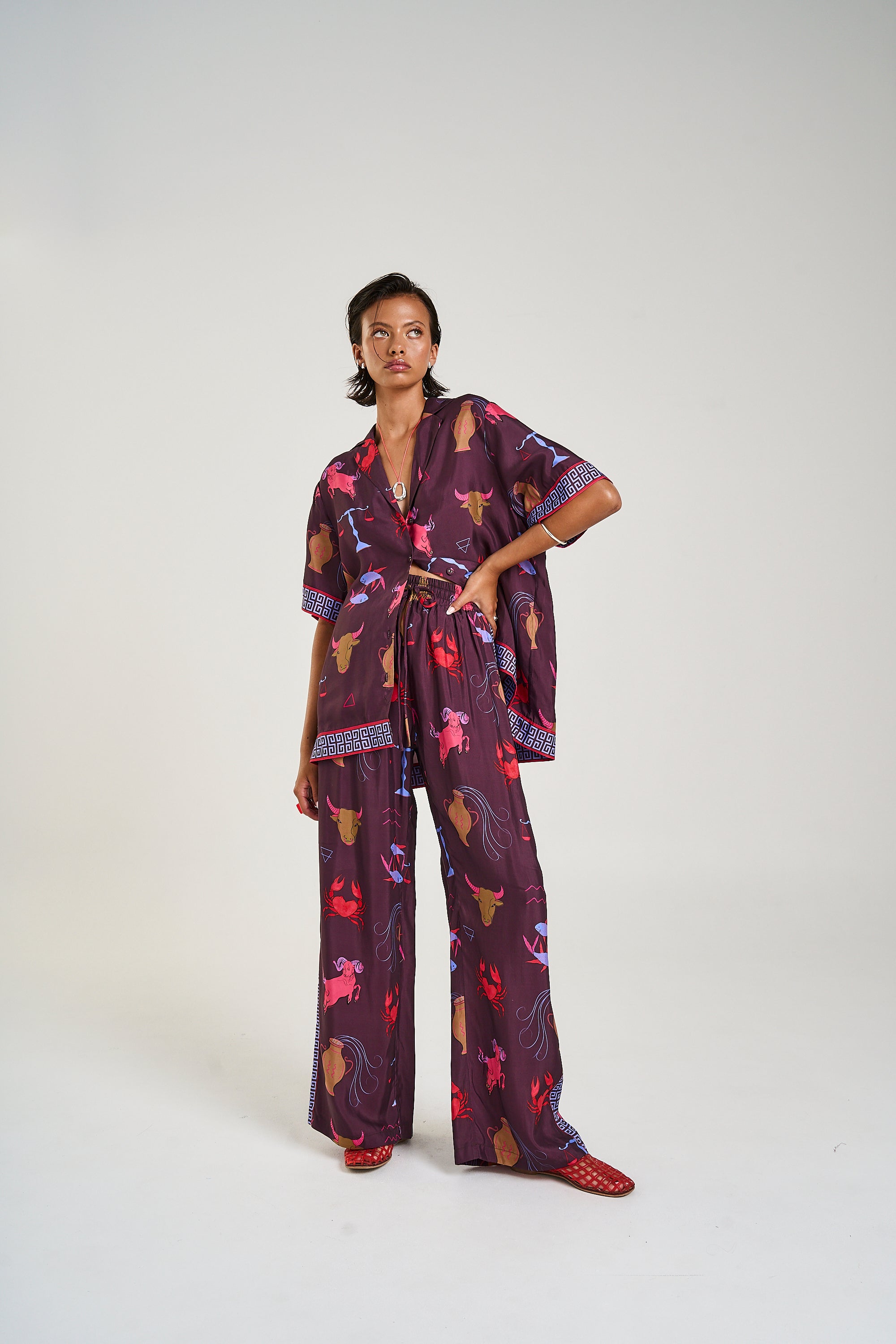 Wide Leg Pant // Zodiac