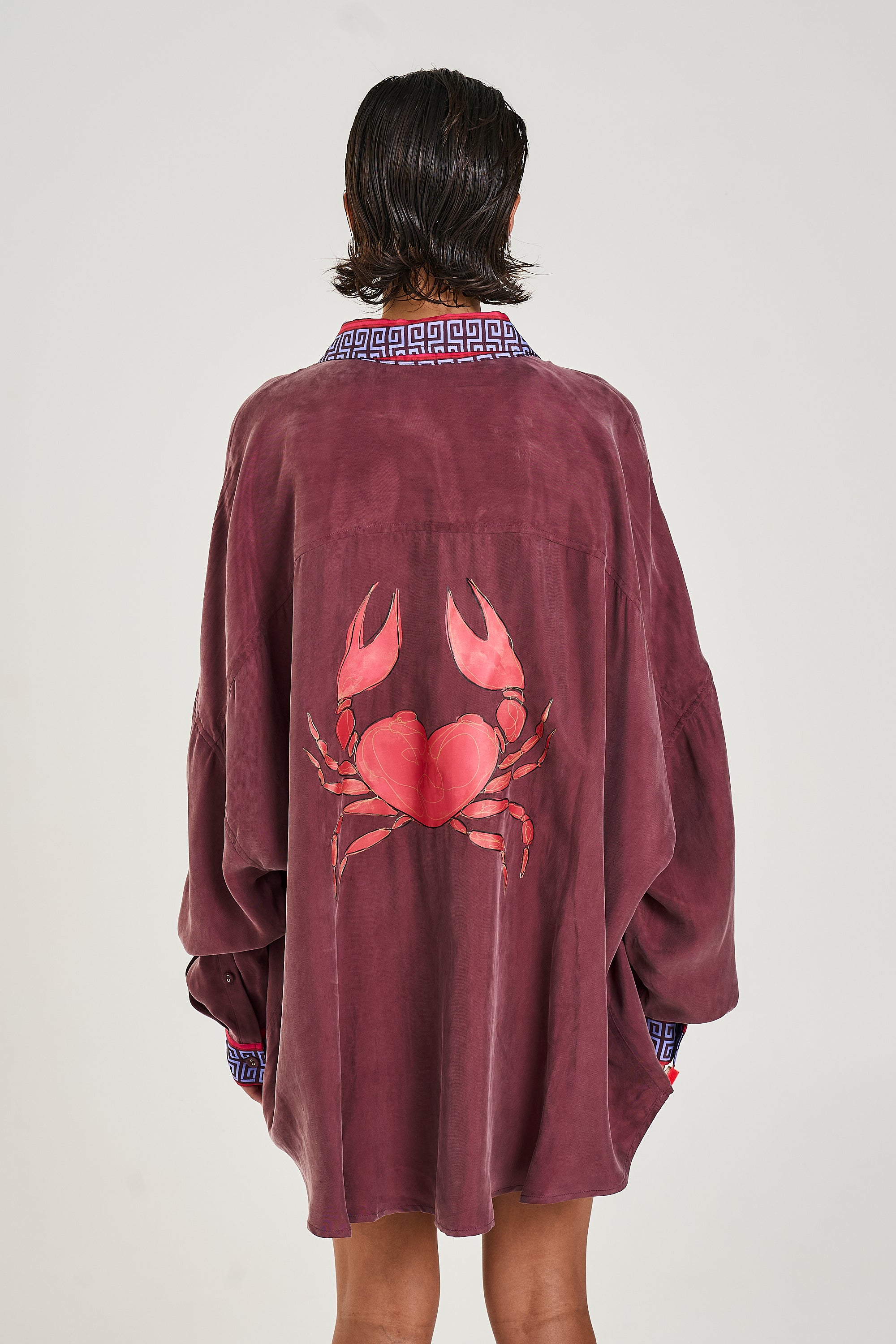 LS OS Shirt // Zodiac